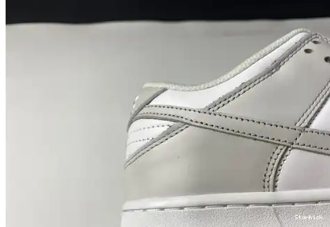 Dust" Dunk "Photon Nike Low DD1503-103 0622